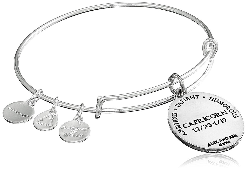 Alex and Ani Constellation Bangle Bracelet