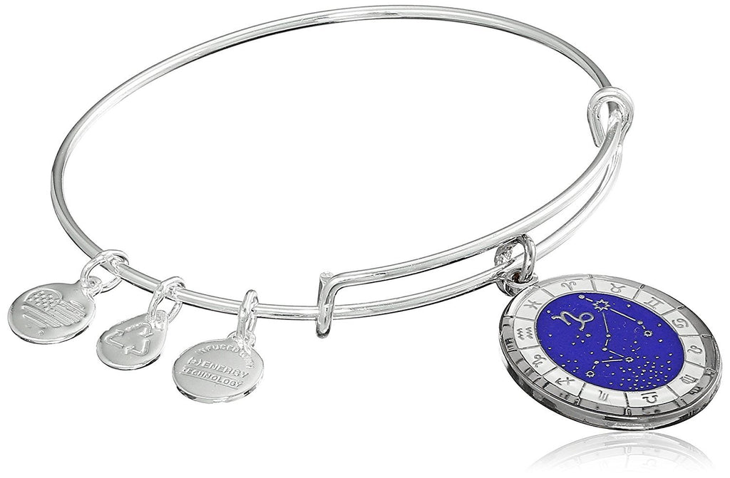 Alex and Ani Constellation Bangle Bracelet