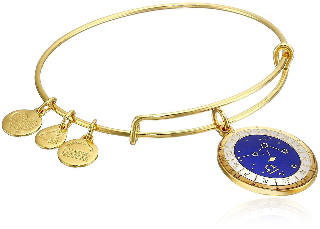 Alex and Ani Constellation Bangle Bracelet