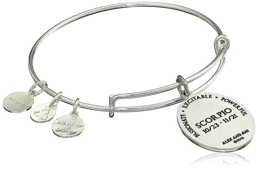 Alex and Ani Constellation Bangle Bracelet