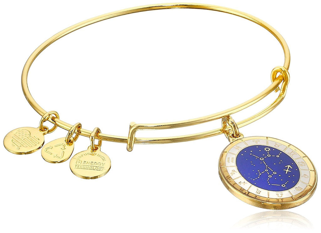 Alex and Ani Constellation Bangle Bracelet