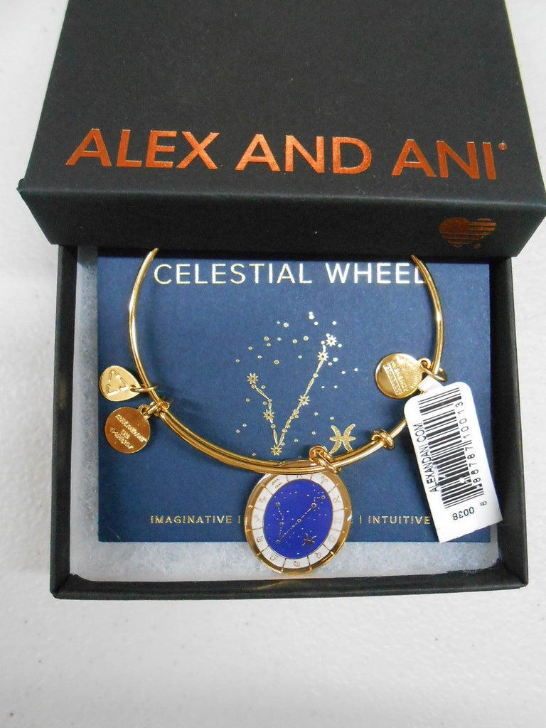 Alex and Ani Constellation Bangle Bracelet