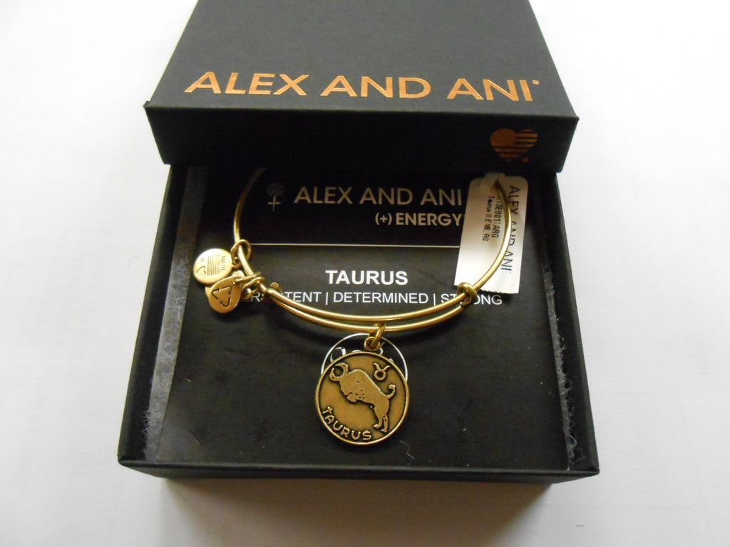 Alex and Ani Constellation Bangle Bracelet