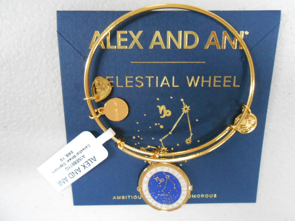 Alex and Ani Constellation Bangle Bracelet