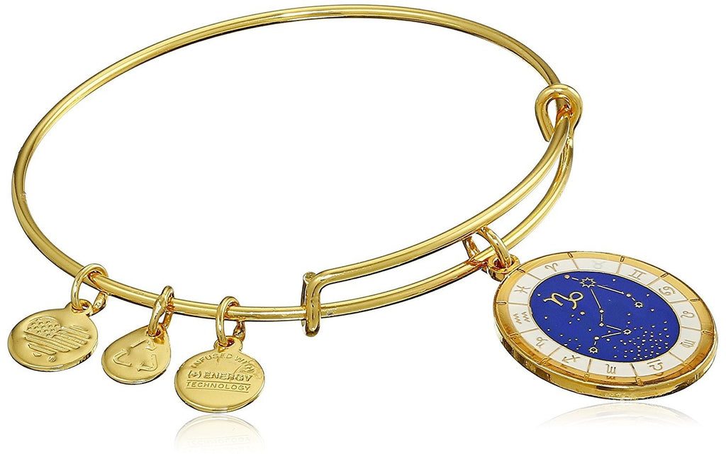 Alex and Ani Constellation Bangle Bracelet