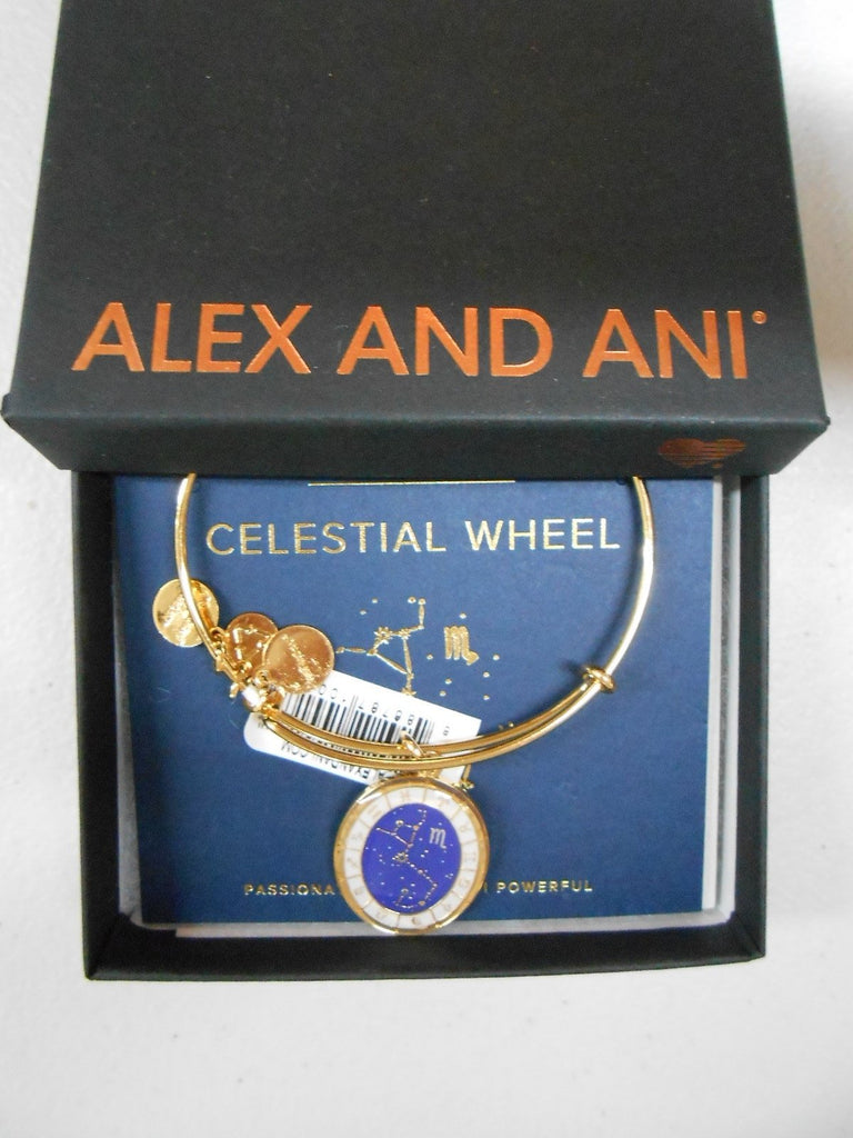 Alex and Ani Constellation Bangle Bracelet