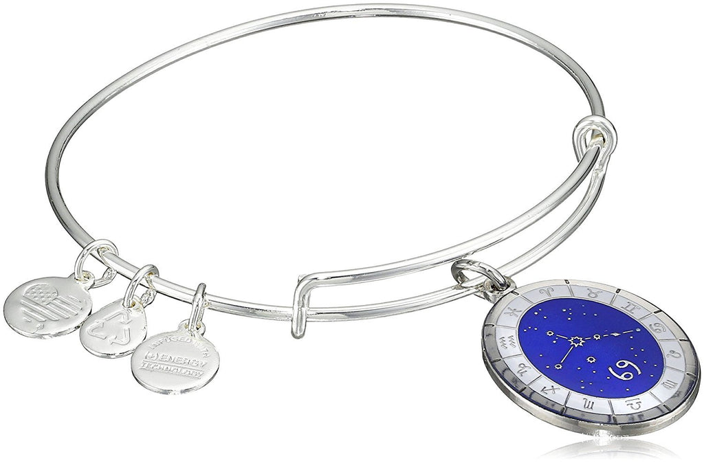 Alex and Ani Constellation Bangle Bracelet