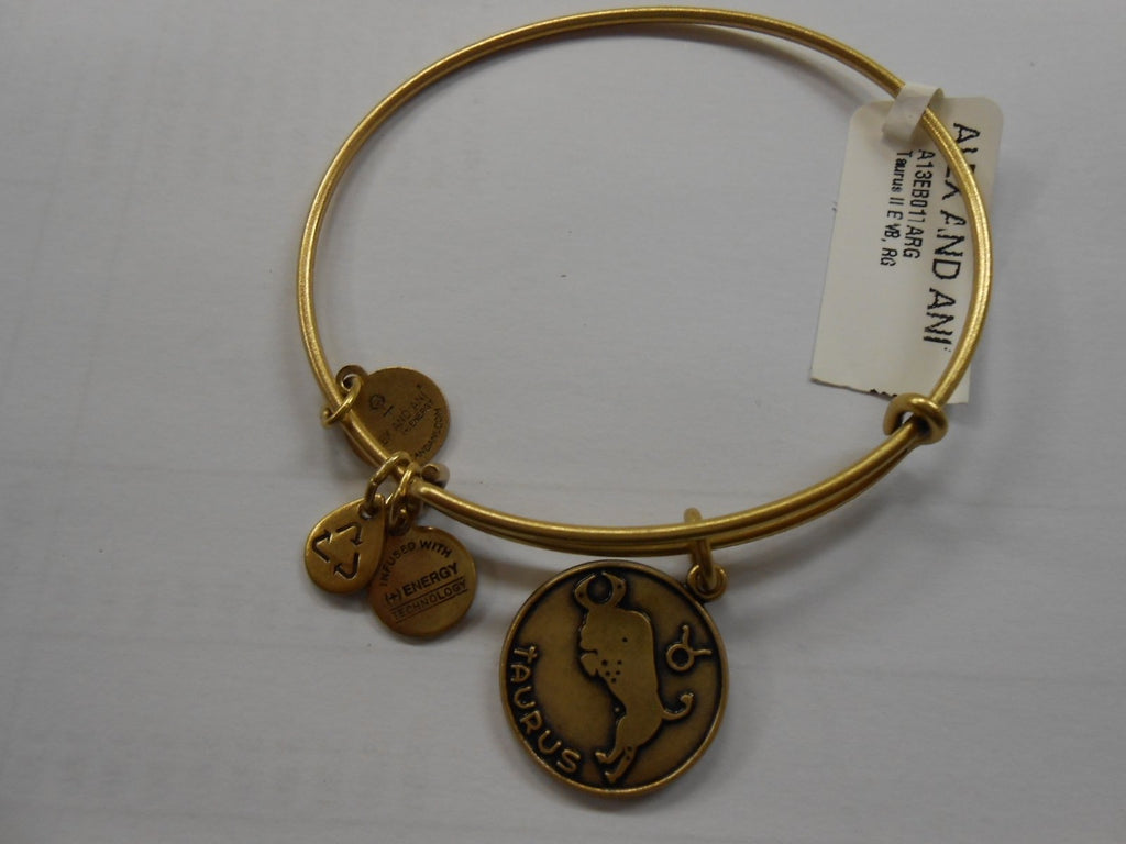 Alex and Ani Constellation Bangle Bracelet