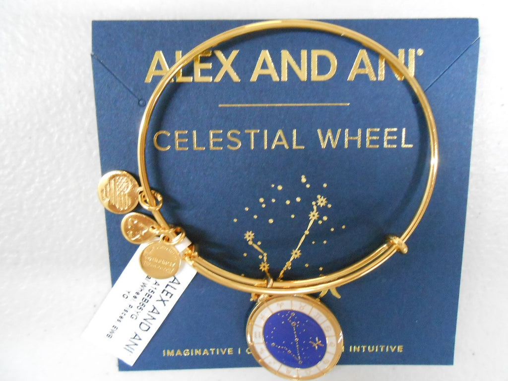 Alex and Ani Constellation Bangle Bracelet