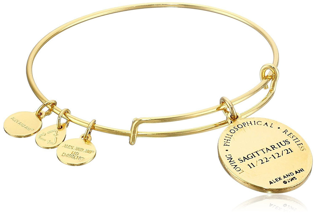 Alex and Ani Constellation Bangle Bracelet