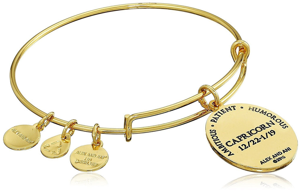 Alex and Ani Constellation Bangle Bracelet