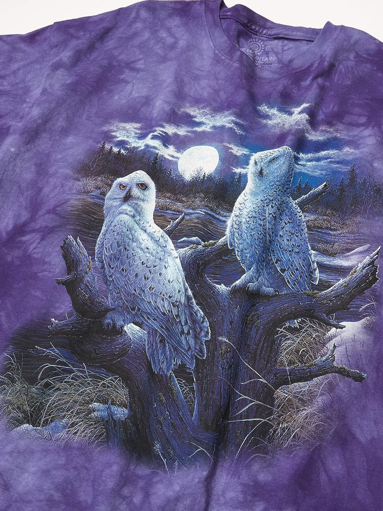 The Mountain Snowy Owls