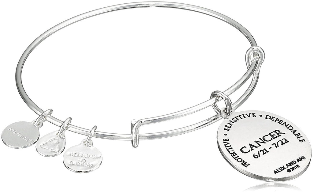 Alex and Ani Constellation Bangle Bracelet