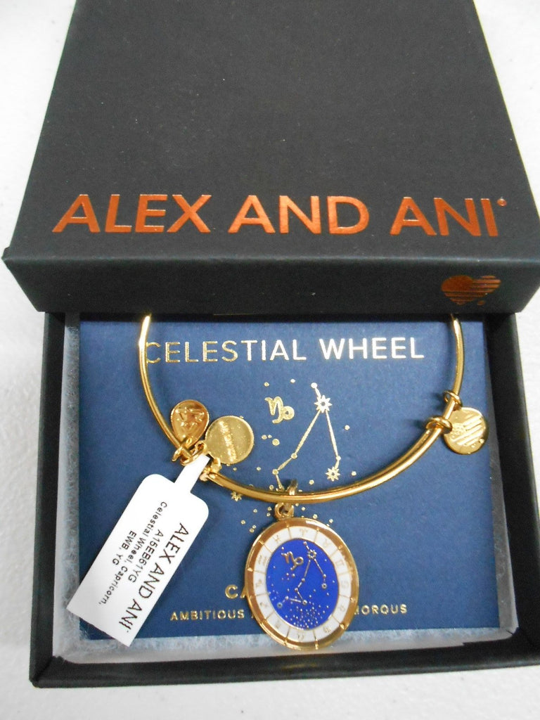 Alex and Ani Constellation Bangle Bracelet