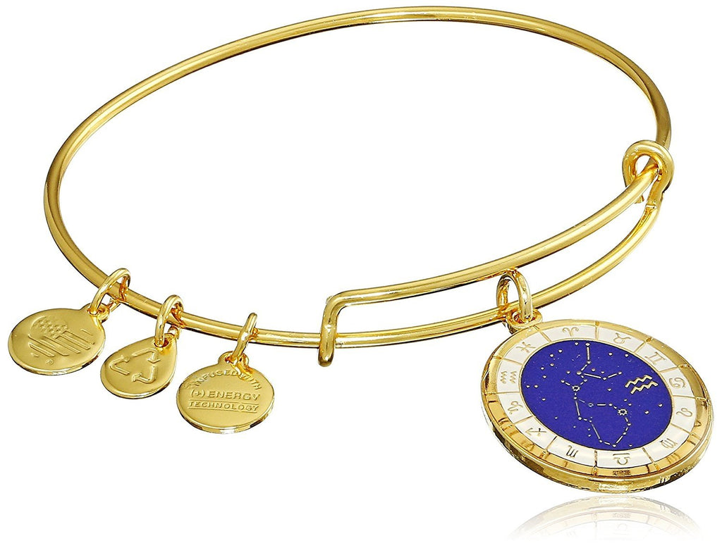 Alex and Ani Constellation Bangle Bracelet