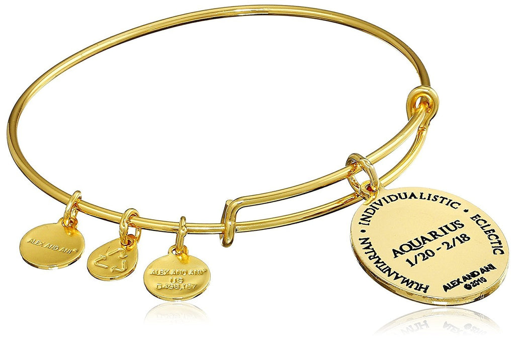 Alex and Ani Constellation Bangle Bracelet