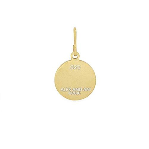 Alex and Ani "Chain Station" Two Tone Charm