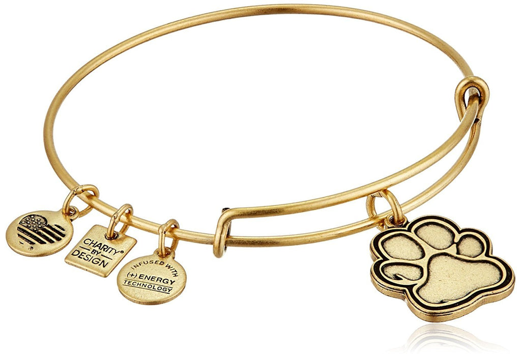 Alex and Ani Charity By Design Prints of Love Bangle Bracelet