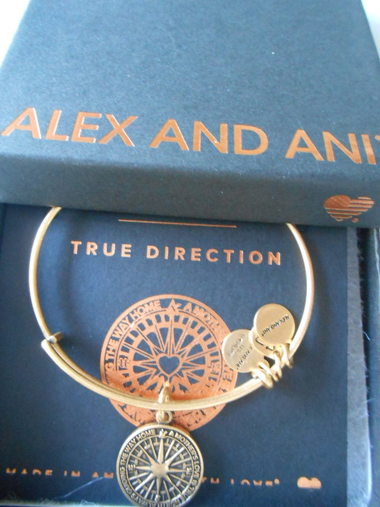 Alex and Ani True Direction Rafaelian Bangle Bracelet