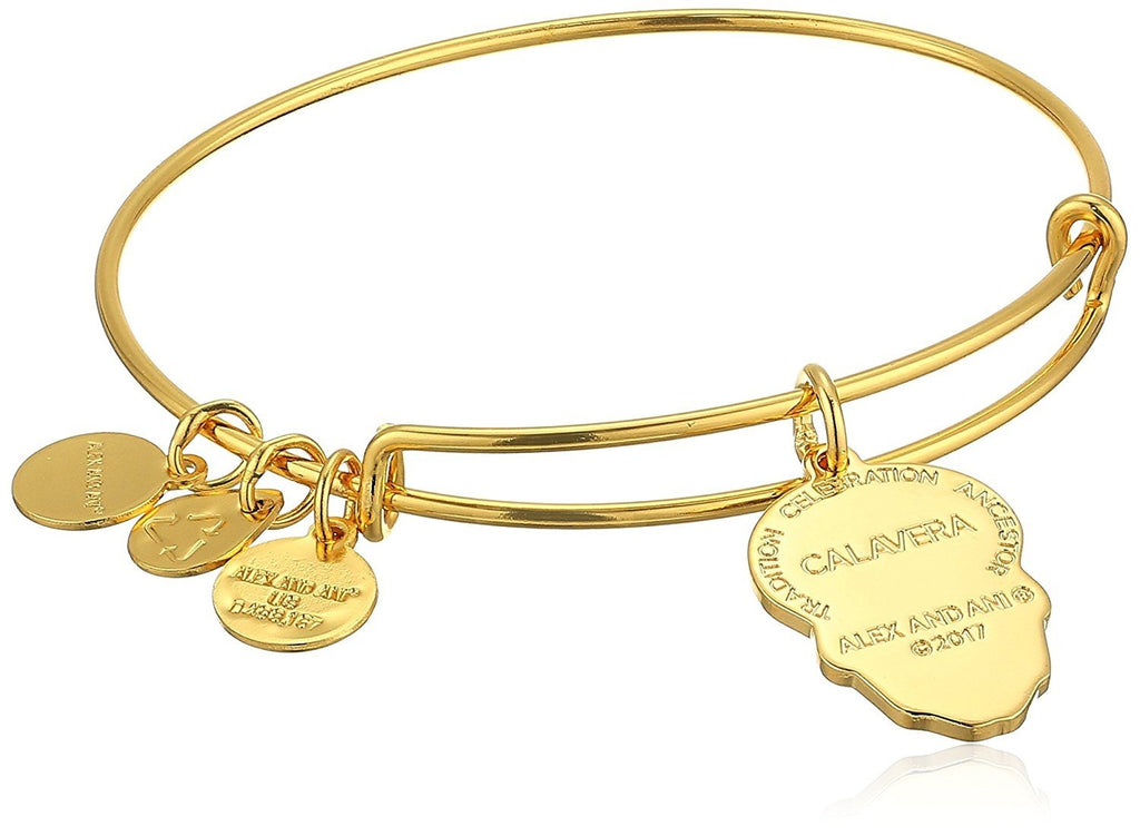 Alex and Ani Color Infusion, Calavera EWB Bangle Bracelet