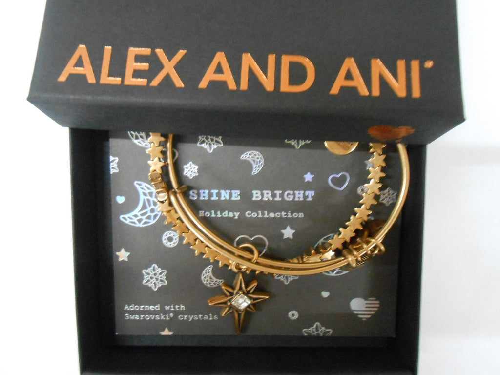 Alex and Ani North Star Set Bangle Bracelet