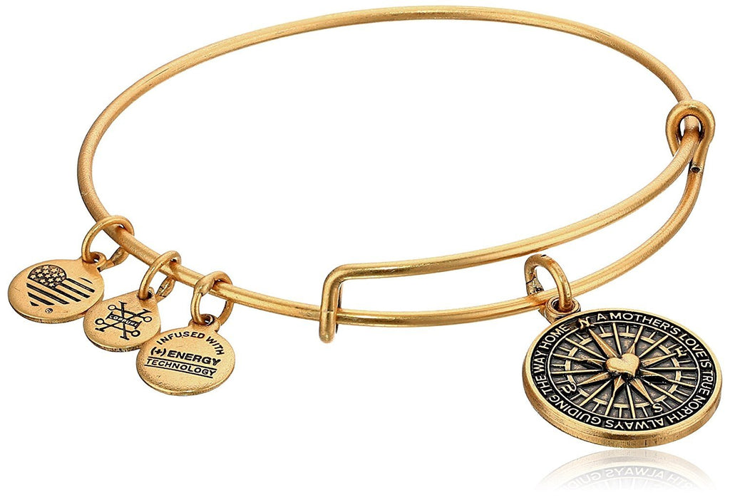 Alex and Ani True Direction Rafaelian Bangle Bracelet