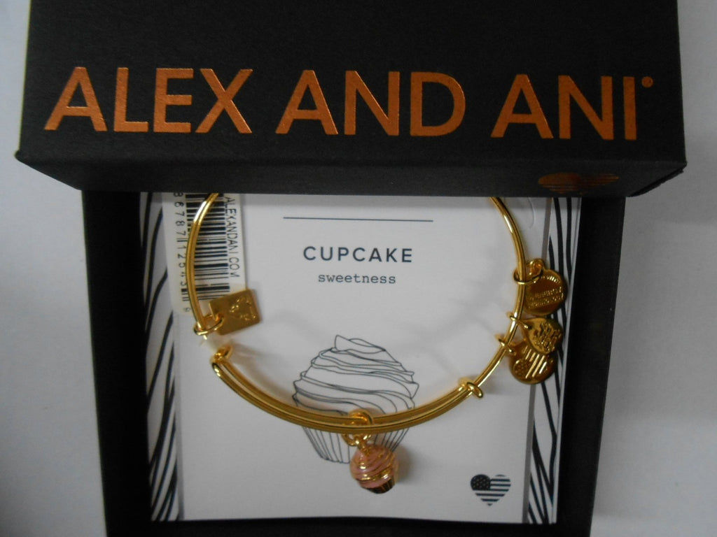 Alex and Ani Charity by Design, Cupcake II EWB Bangle Bracelet