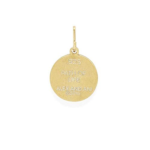 Alex and Ani Chain Station Two Tone Path of Life Charm