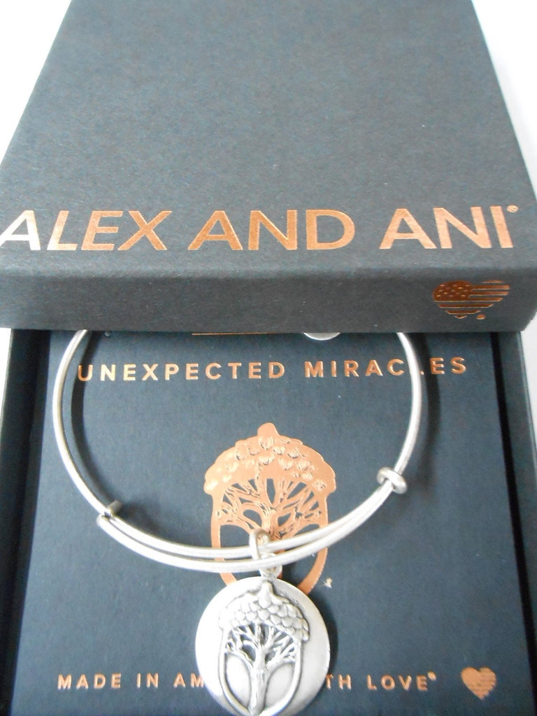 Alex and Ani Unexpected Miracles Rafaelian Silver Charm Bracelet