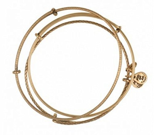 Alex and Ani Set Of 3 Bangle Set