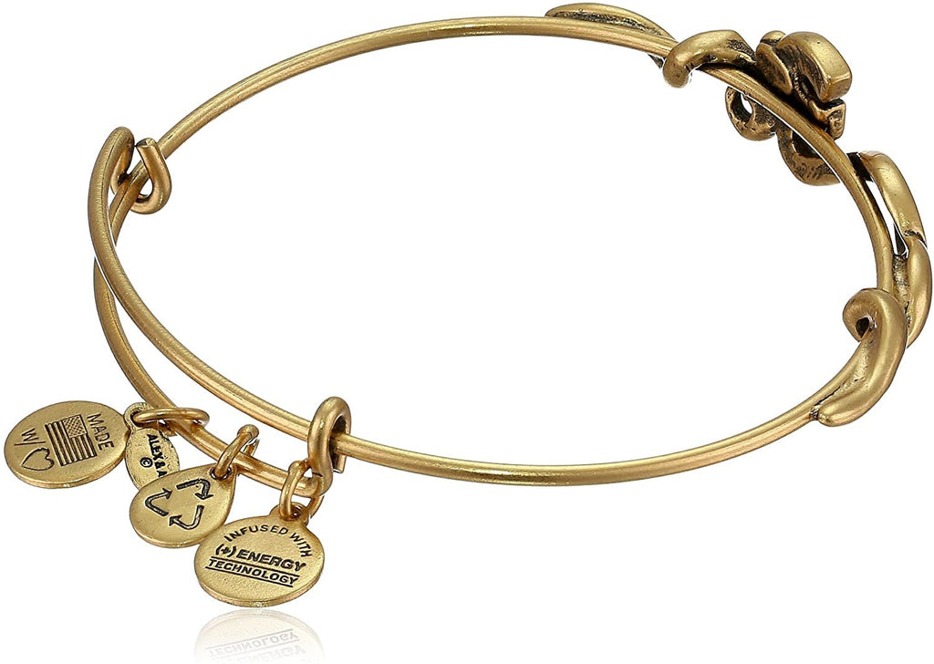 Alex and Ani "Spiritual Armour" Om Expandable Wire Bangle Bracelet