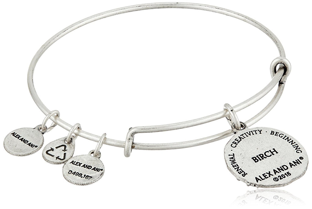 Alex and Ani A New Day Bangle Bracelet