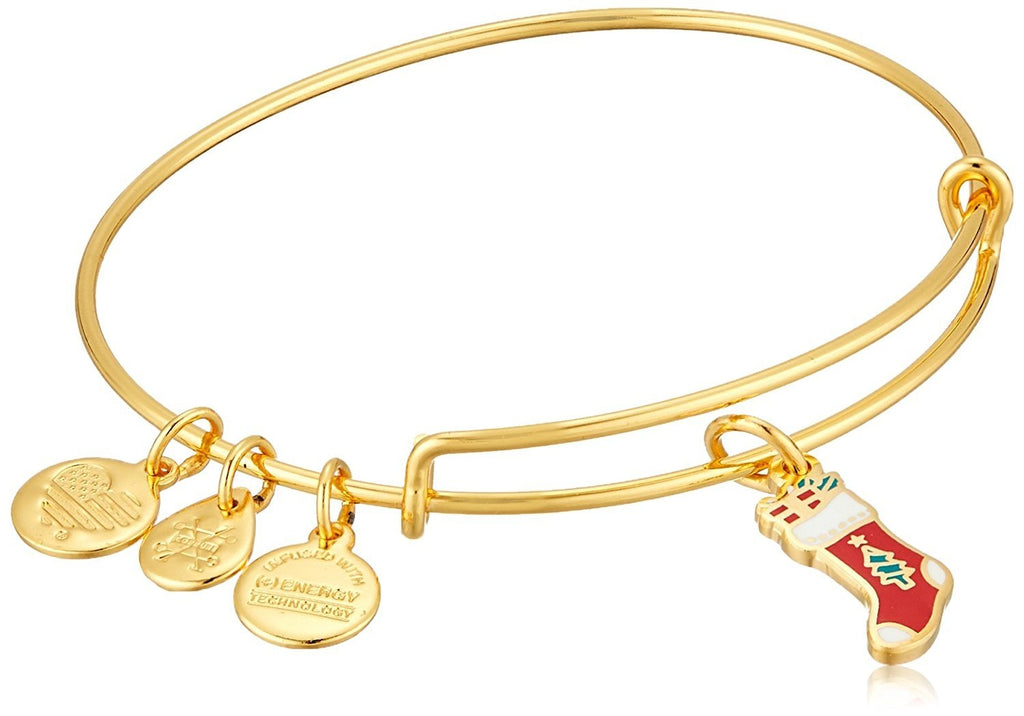 Alex and Ani Womens Stocking Bangle