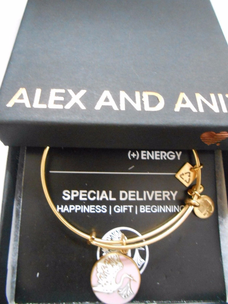 Alex and Ani Charity by Design Special Delivery Bangle Bracelet