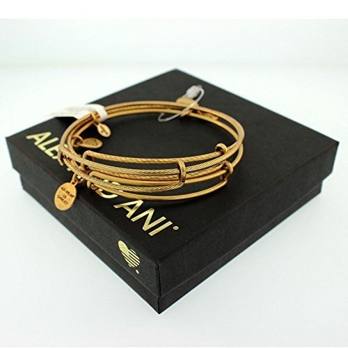 Alex and Ani Set Of 3 Bangle Set