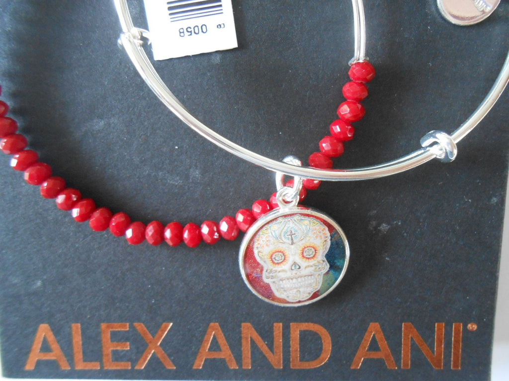 Alex and Ani Womens Art Infusion Calavera II Bracelet Set