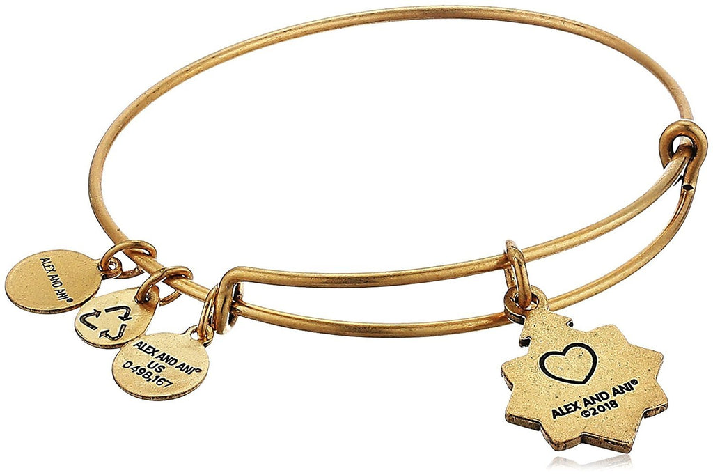 Alex and Ani Womens Because I Love You Friend III Bangle