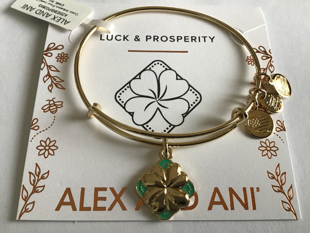 Alex and Ani Color Infusion Bangle Bracelet