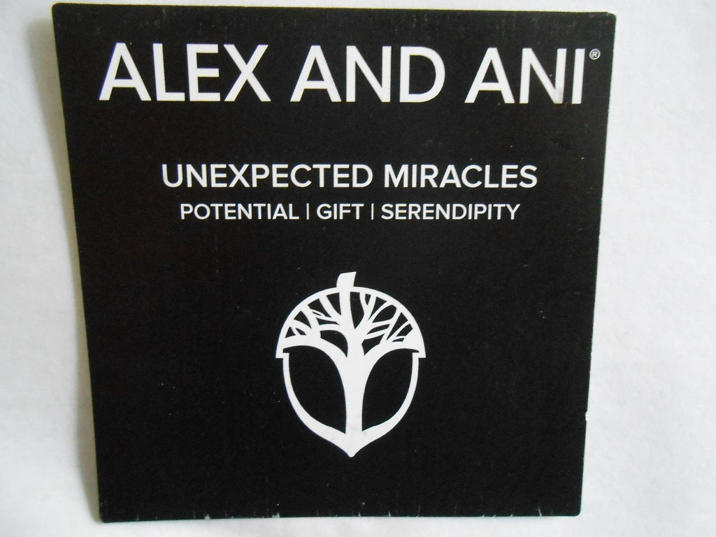 Alex and Ani Unexpected Miracles II Expandable Rafaelian Bangle Bracelet