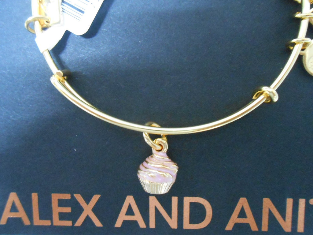 Alex and Ani Charity by Design, Cupcake II EWB Bangle Bracelet