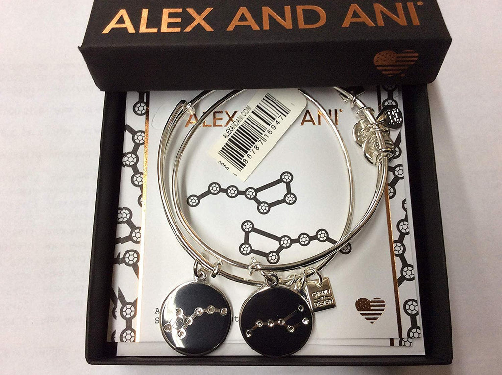 Alex and Ani Women's Charity by Design Big and Little Dipper Set of 2 Bracelet, Shiny Silver