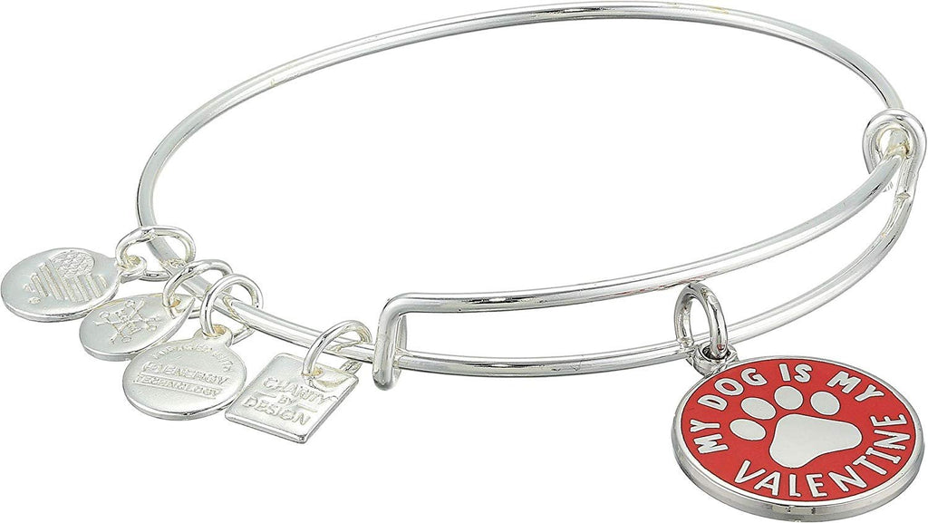 Alex and Ani Womens Charity by Design My Dog is My Valentine Bangle Bracelet