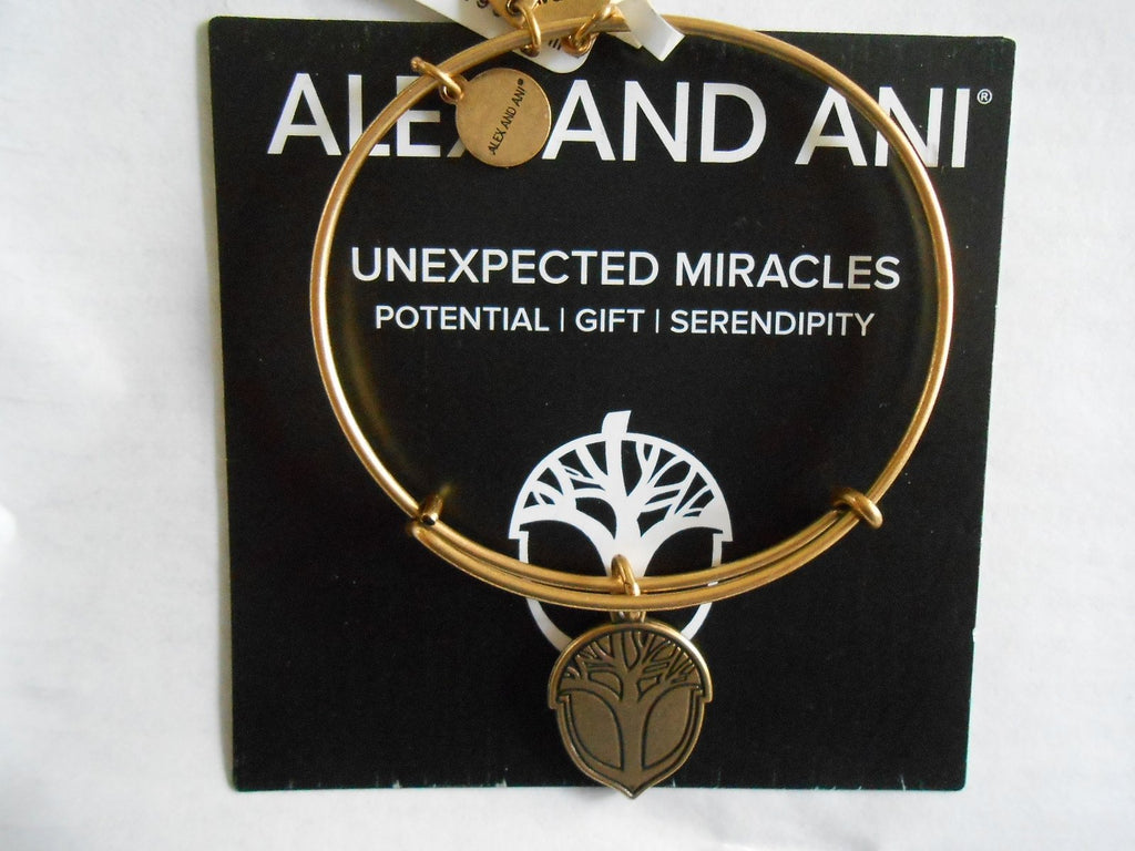 Alex and Ani Unexpected Miracles II Expandable Rafaelian Bangle Bracelet