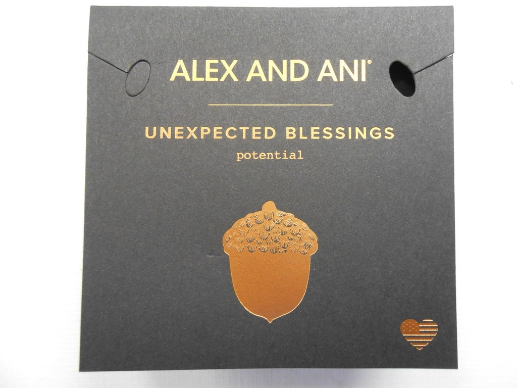 Alex and Ani UNEXPECTED BLESSINGS II Expandable Bracelet Rafaelian Silver NWTBC