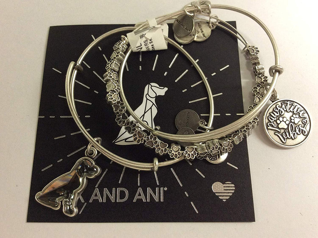 Alex and Ani Pawsitive Vibes Set of 3 Bangle Bracelet Rafaelian Silver Tag Box Card