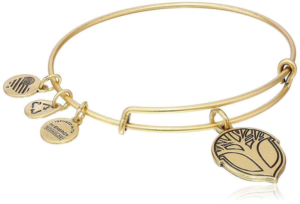 Alex and Ani Unexpected Miracles Bangle Bracelet