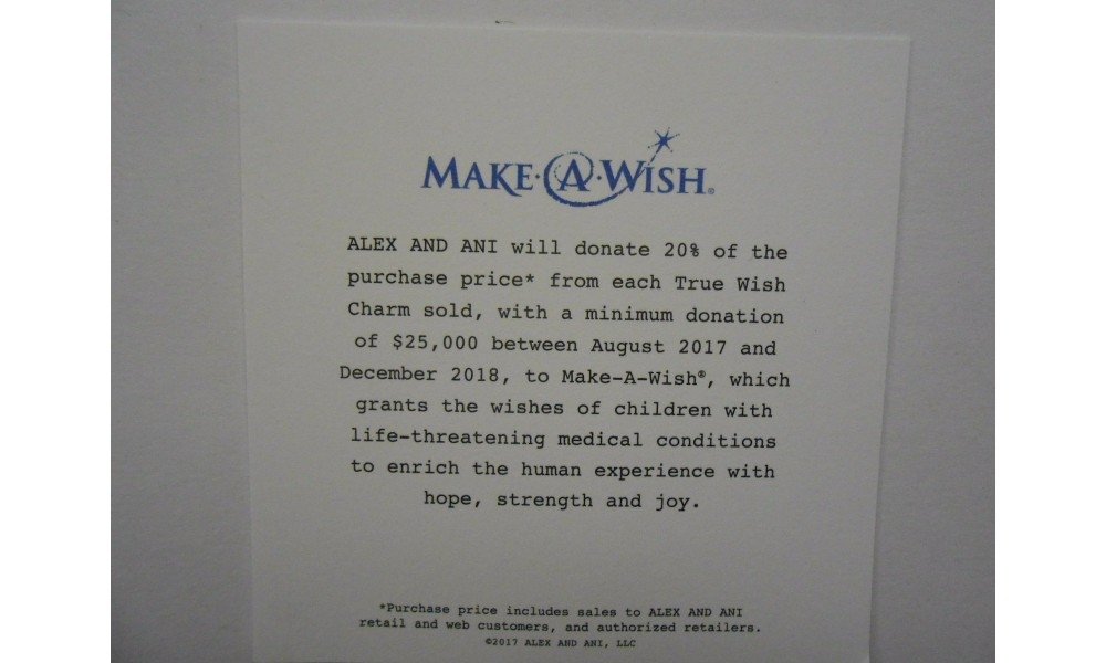 Alex and Ani Charity Design, True Wish EWB Bangle Bracelet