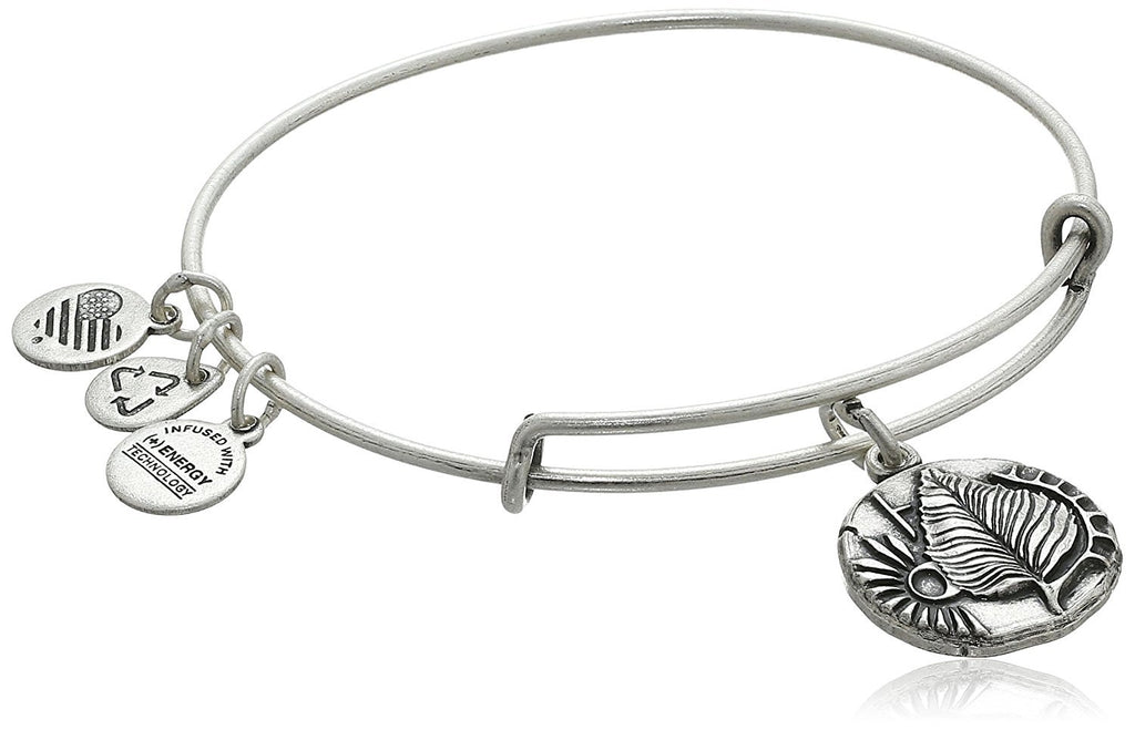 Alex and Ani A New Day Bangle Bracelet