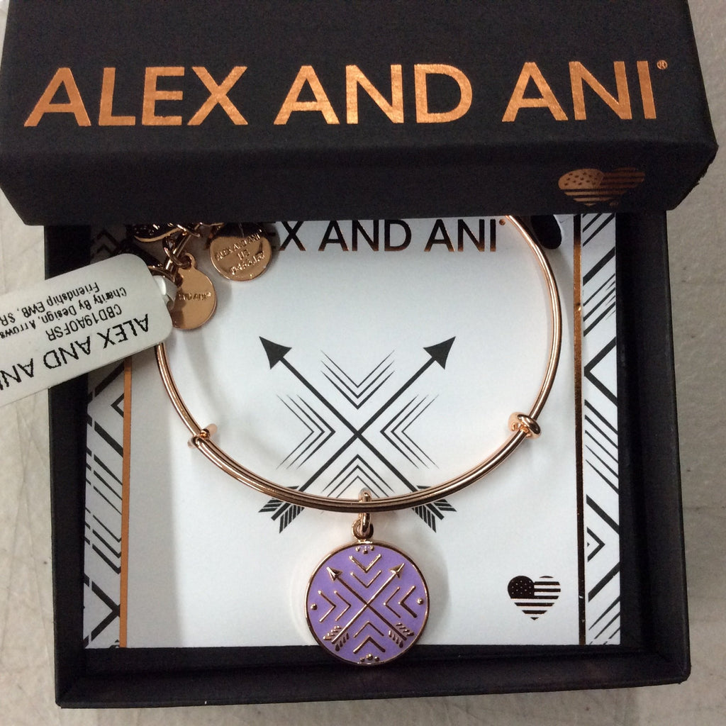 Alex and Ani Charity by Design Arrows of Friendship Expandable Bangle Bracelet