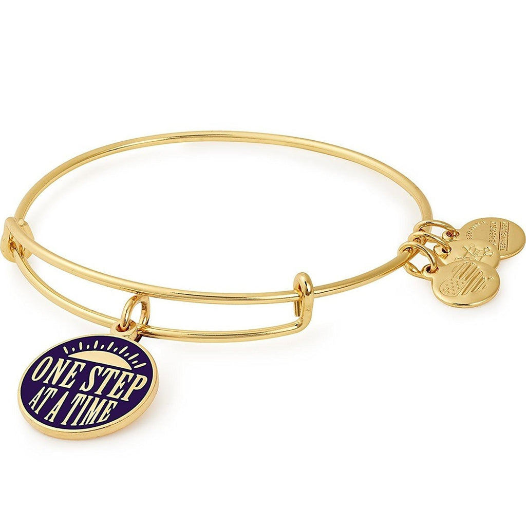 Alex and Ani Charity By Design One Step Charm Bangle